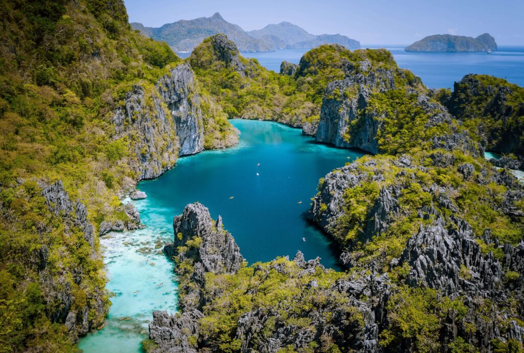 Animaux dangereux aux Philippines : les vrais risques 1 Paysage de jungle luxuriante aux Philippines, illustrant les animaux dangereux à connaître.