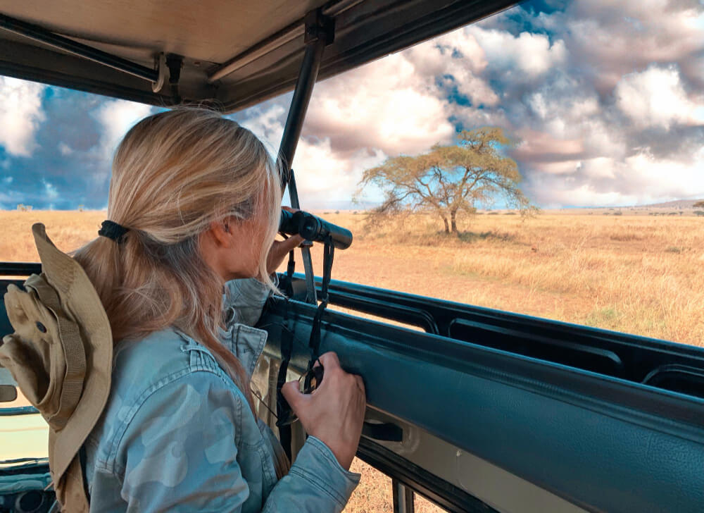 Wild Card Afrique du Sud : est-ce rentable pour votre safari ? 3