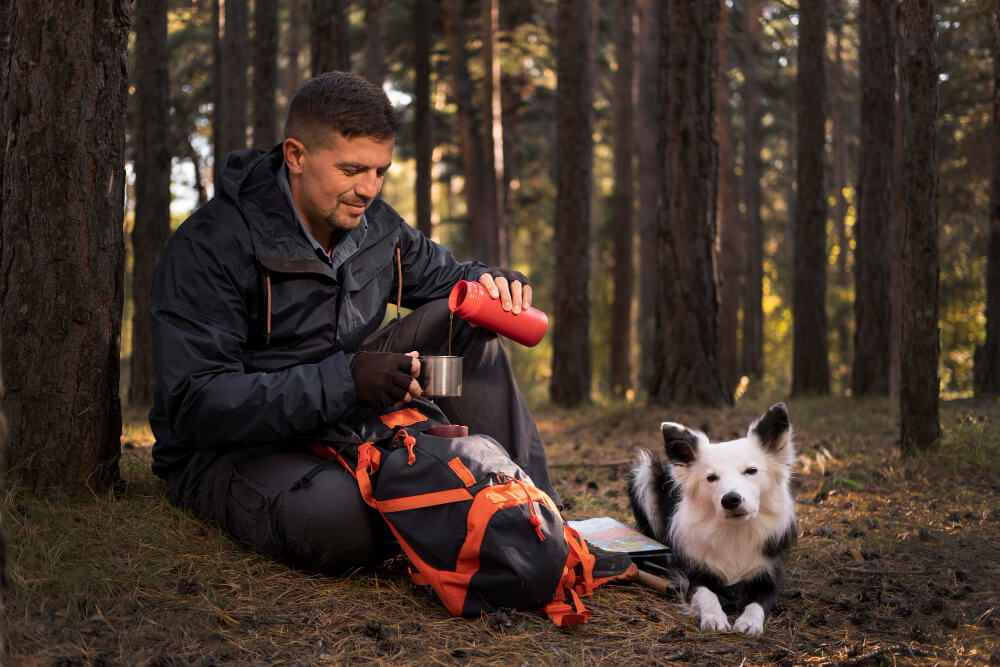 Chien de randonnée avec un sac de bât, en train de manger ses croquettes en montagne.
