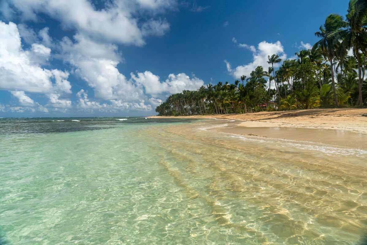 Une plage de sable blanc bordée de cocotiers et d'eau turquoise en République dominicaine.