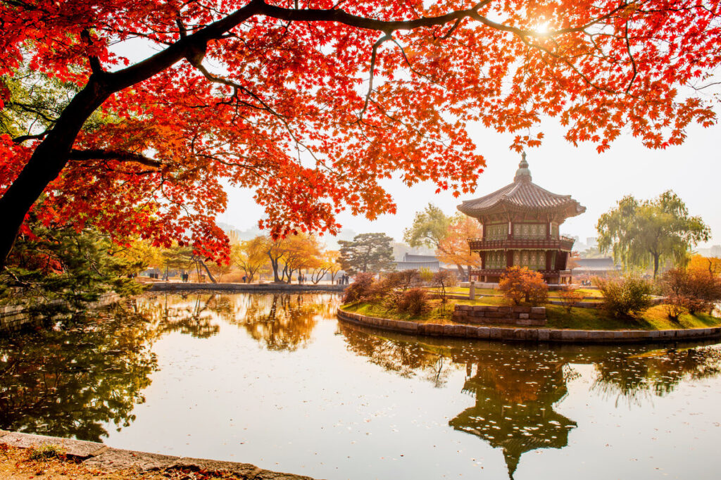 Quand partir à Séoul ? 4 Les arbres aux feuilles rouges et dorées autour du palais secret de Séoul en automne.