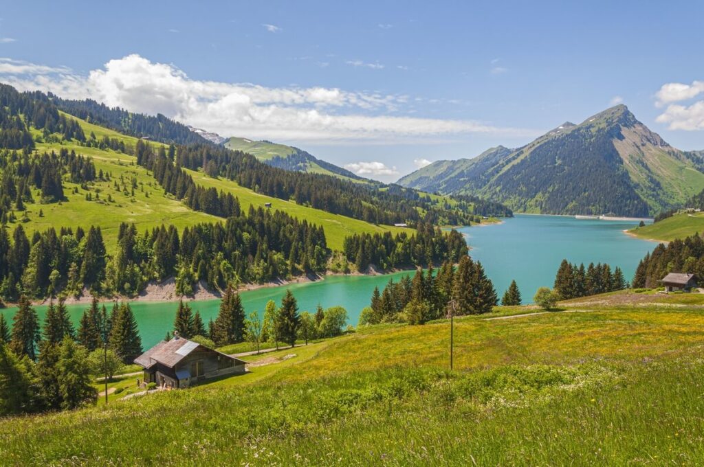 Salaire vendange en Suisse : combien peut-on gagner ? 4