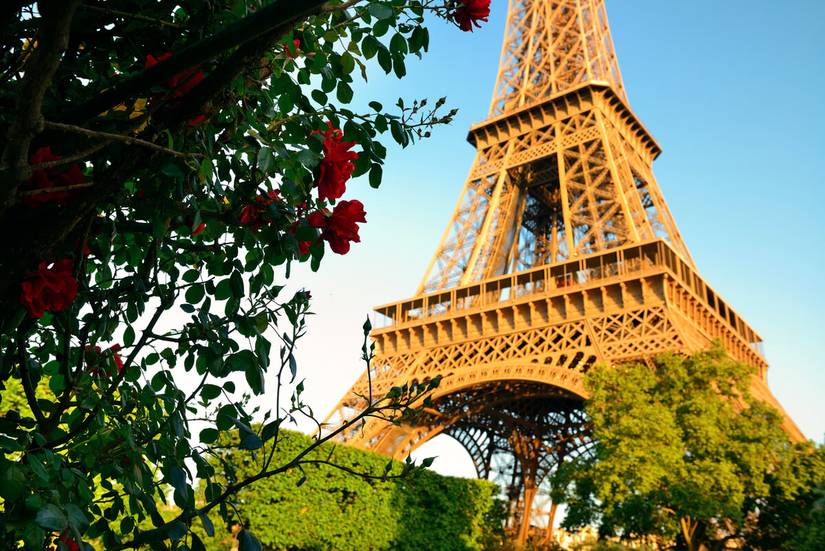 La Tour Eiffel s'élevant majestueusement au-dessus des arbres du Champ-de-Mars à Paris.