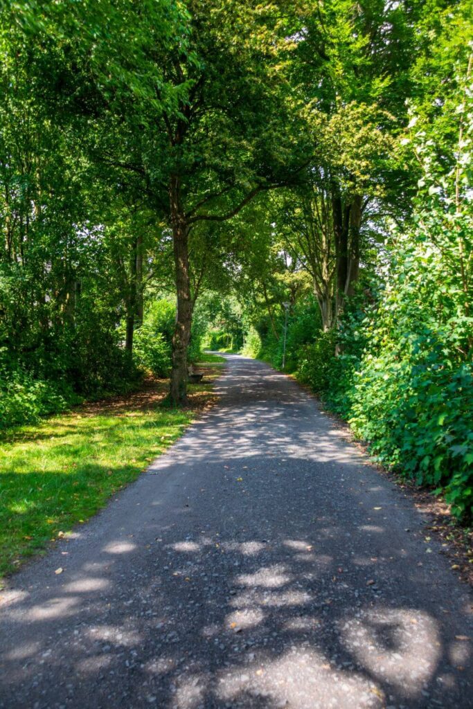 Week-end nature en Belgique : où se ressourcer loin du stress 2