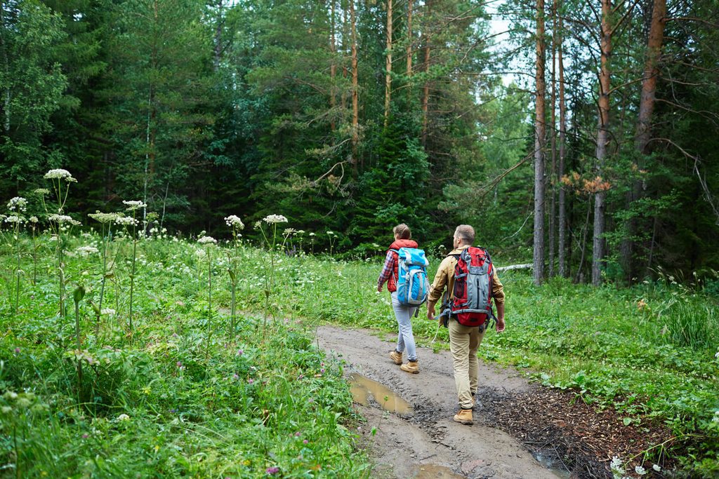 Week-end nature en Belgique : où se ressourcer loin du stress 3 Randonneur marchant sur un sentier en caillebotis à travers la tourbière des Hautes Fagnes.